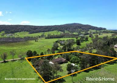 Farm For Sale - NSW - Back Forest - 2535 - A Beauty on Back Forest  (Image 2)