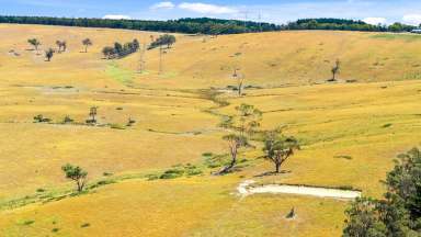 Farm For Sale - VIC - Traralgon - 3844 - 386 acres of Grazing  (Image 2)