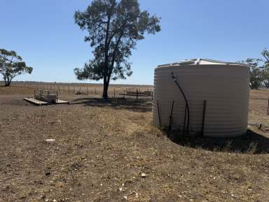 Farm Auction - NSW - Moree - 2400 - Ideal Moree Starter Block  (Image 2)