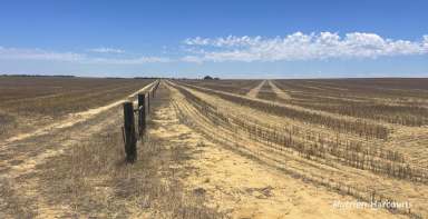 Farm For Sale - WA - Watheroo - 6513 - "Open Plain Farming"  (Image 2)