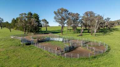 Farm Auction - NSW - Walcha - 2354 - "Abberley" - Reliable Grazing with Standalone Scale  (Image 2)