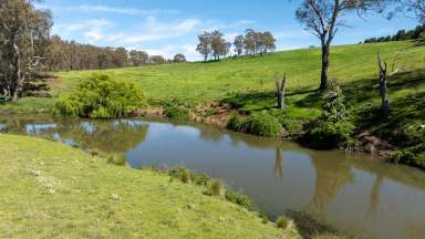 Farm Auction - NSW - Walcha - 2354 - "Abberley" - Reliable Grazing with Standalone Scale  (Image 2)