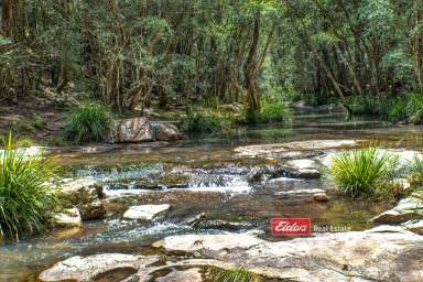 Farm For Sale - NSW - Gloucester - 2422 - Secluded Wilderness Retreat 1,280 acres (approx.)  (Image 2)