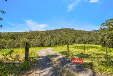 Farm For Sale - NSW - Gloucester - 2422 - Secluded Wilderness Retreat 1,280 acres (approx.)  (Image 2)