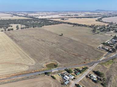 Farm For Sale - VIC - Korong Vale - 3520 - Lot 1 "Shorty's"  (Image 2)