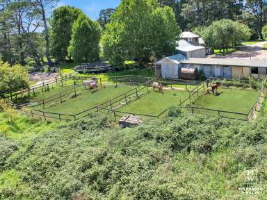 Farm For Sale - NSW - Woodlands - 2575 - Location & Lifestyle  (Image 2)