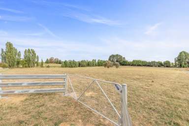 Farm Auction - NSW - Barry - 2799 - Your dream home? 6 Acres? Why not?  (Image 2)