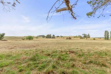 Farm Auction - NSW - Barry - 2799 - Your dream home? 6 Acres? Why not?  (Image 2)