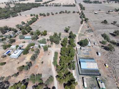 Farm For Sale - NSW - Moama - 2731 - 'Argyle' Moama – Lifestyle & Livestock Opportunity
1741 Thyra Road, Moama NSW 2731 | 26.54 HA (65.5 Acres) | 26ML General Security  (Image 2)