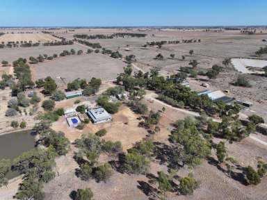 Farm For Sale - NSW - Moama - 2731 - 'Argyle' Moama – Lifestyle & Livestock Opportunity
1741 Thyra Road, Moama NSW 2731 | 26.54 HA (65.5 Acres) | 26ML General Security  (Image 2)