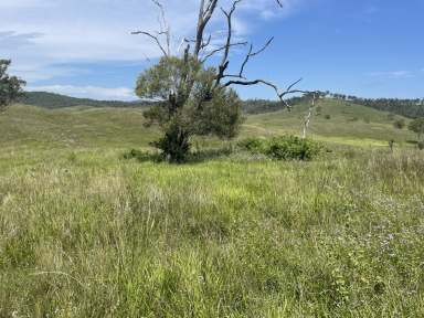 Farm For Sale - QLD - Brooweena - 4620 - Kildare Road, Brooweena  (Image 2)