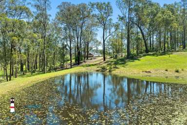 Farm For Sale - NSW - Moruya - 2537 - Rural Sub-Division Potential - Entertainers Delight - Acreage Close to Town @ Moruya  (Image 2)