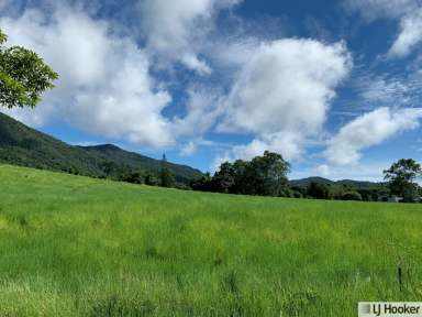 Farm For Sale - QLD - Feluga - 4854 - STUNNING MOUNTAIN BACKDROP  (Image 2)