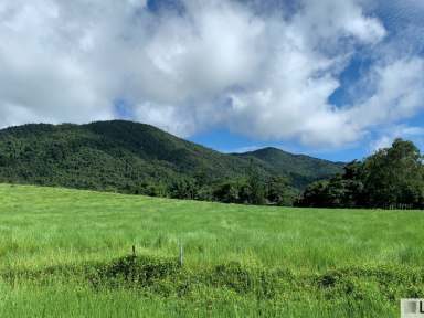 Farm For Sale - QLD - Feluga - 4854 - STUNNING MOUNTAIN BACKDROP  (Image 2)