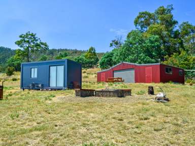 Farm For Sale - TAS - Black Hills - 7140 - Private Paradise  (Image 2)