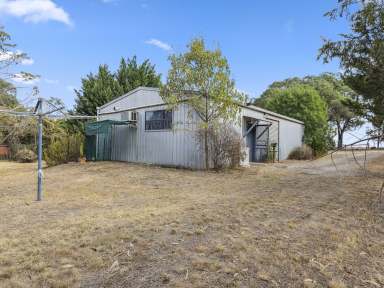 Farm For Sale - VIC - Seymour - 3660 - Small acreage minutes from town.  (Image 2)