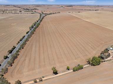 Farm For Sale - SA - Linwood - 5410 - Outstanding Leasing Opportunity in Prime Farming Region  (Image 2)