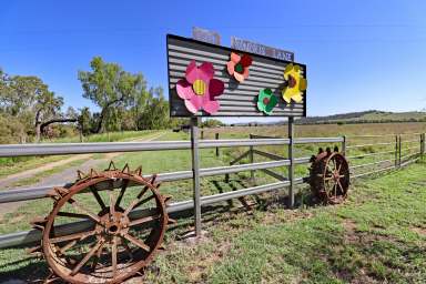 Farm Auction - QLD - Thangool - 4716 - Thangool Country Living  (Image 2)