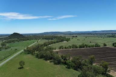 Farm Auction - QLD - Thangool - 4716 - Thangool Country Living  (Image 2)