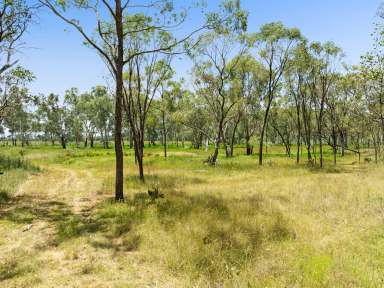 Farm For Sale - QLD - Pratten - 4370 - Pratten's Hidden Gem  (Image 2)