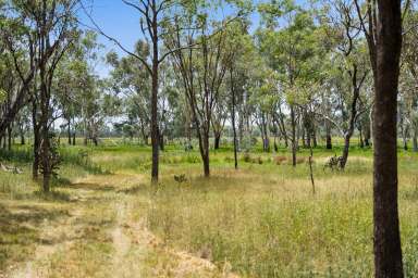 Farm For Sale - QLD - Pratten - 4370 - Pratten's Hidden Gem  (Image 2)