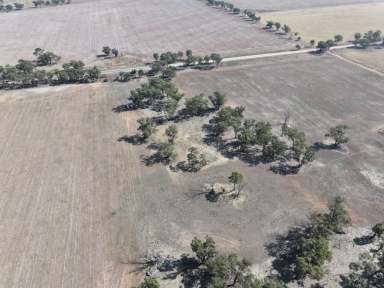 Farm For Sale - VIC - Borung - 3518 - Lot 2: "Moronies"  (Image 2)