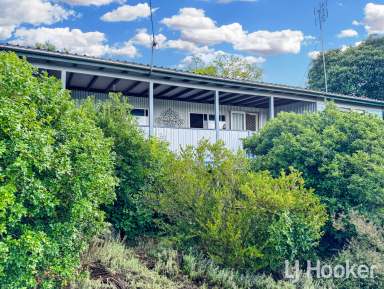 Farm For Sale - NSW - Inverell - 2360 - Serene Country Living with Modern Comforts  (Image 2)