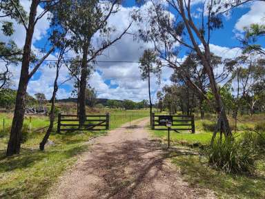 Farm For Sale - QLD - Greenlands - 4380 - YES, YOU CAN HAVE IT ALL!  (Image 2)