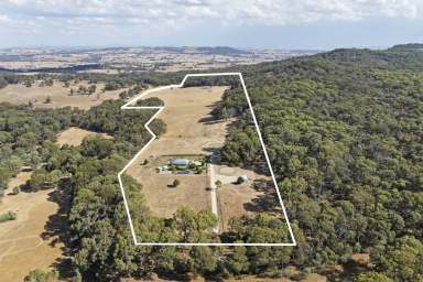 Farm For Sale - VIC - Kelvin View - 3666 - Hope Springs – Kelvin View, 
Strathbogie Ranges  (Image 2)