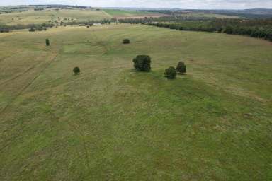 Farm For Sale - QLD - Coolabunia - 4610 - Simply the Best!! 311 acres of tick-free, Red Softwood Scrub soil  (Image 2)