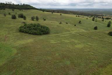 Farm For Sale - QLD - Coolabunia - 4610 - Simply the Best!! 311 acres of tick-free, Red Softwood Scrub soil  (Image 2)