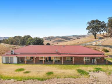 Farm For Sale - NSW - Adelong - 2729 - Rural Paradise!  (Image 2)