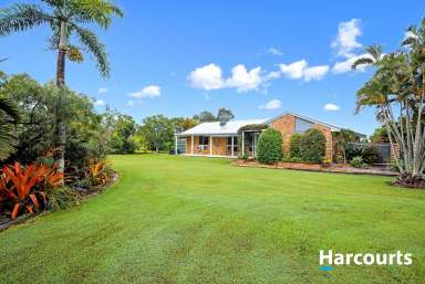 Farm For Sale - QLD - Buxton - 4660 - ACREAGE LIVING IN BUXTON  (Image 2)