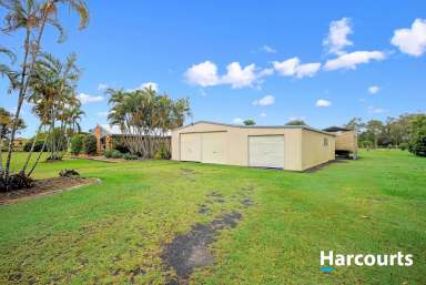 Farm For Sale - QLD - Buxton - 4660 - ACREAGE LIVING IN BUXTON  (Image 2)