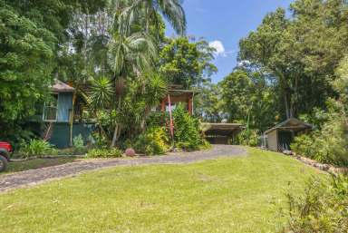 Farm For Sale - NSW - Blue Knob - 2480 - Secret Hideaway  (Image 2)