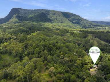 Farm For Sale - NSW - Blue Knob - 2480 - Secret Hideaway  (Image 2)