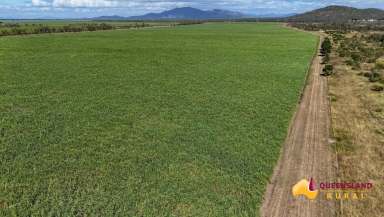 Farm For Sale - QLD - Ayr - 4807 - Woodhouse Station  (Image 2)