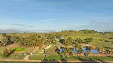 Farm Auction - QLD - Marmor - 4702 - Alkoomi Adventure Farmstay - Central Queensland  (Image 2)