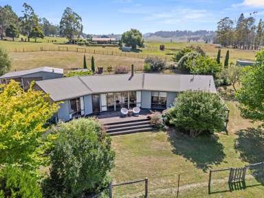 Farm For Sale - TAS - Sheffield - 7306 - What A View  (Image 2)