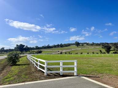 Farm For Sale - WA - Kalgan - 6330 - PRICES REDUCED! Stage 2, Grandview Heights Estate  (Image 2)