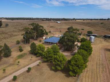 Farm Auction - NSW - Forbes - 2871 - "Monreve "1127 Newell Hwy Forbes  (Image 2)