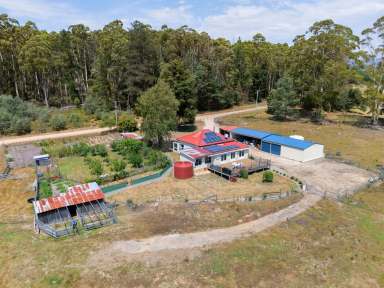 Farm For Sale - TAS - Lower Beulah - 7306 - Sustainable & Independent Lifestyle Awaits  (Image 2)