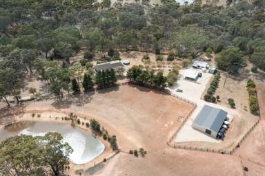 Farm For Sale - VIC - Heathcote - 3523 - VERSATILE EQUINE PROPERTY  (Image 2)