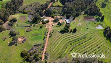 Farm For Sale - WA - Balingup - 6253 - Cockatoo Ridge Organic Farm, Upper Balingup  (Image 2)