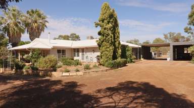 Farm For Sale - WA - Wongan Hills - 6603 - Discover the Perfect Balance  (Image 2)