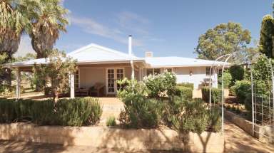 Farm For Sale - WA - Wongan Hills - 6603 - Discover the Perfect Balance  (Image 2)