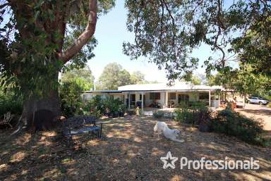 Farm For Sale - WA - Thomson Brook - 6239 - Paradise In The Hills  (Image 2)