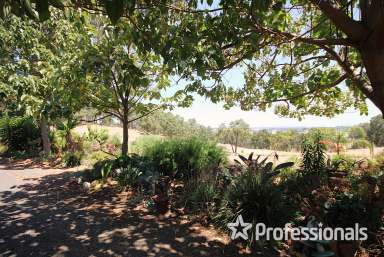 Farm For Sale - WA - Thomson Brook - 6239 - Paradise In The Hills  (Image 2)