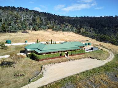 Farm For Sale - TAS - Campania - 7026 - Welcome to White Kangaroo Valley, The Ultimate Lifestyle Property  (Image 2)