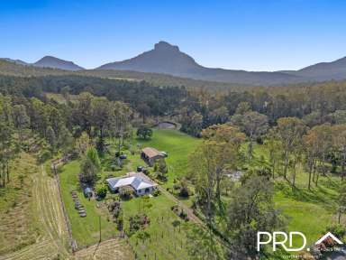 Farm For Sale - NSW - Dairy Flat - 2474 - Mount Lindesay Views  (Image 2)